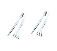 Toddmomy 2 Ensembles Set Outils de Bonsai Acier Inoxydable Ensemble de Pince à Épiler Râteau et Petite Pelle Outils Multifonctionnels pour Jardinage et Entretien des Plantes