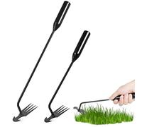 Toddmomy 2 Pièces Outils de Désherbage Outils de Jardinage Multi Fonctionnels pour Enlever Mauvaises avec Désherbeur pour Racines de Gazon pour Fissures