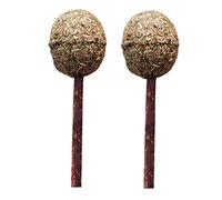 Toddmomy 2pièces Jouets à Mâcher Bois avec Cataire pour Chats Sucettes à Molaire Jouets à Interagir Et Nettoyer Les Dents Marron