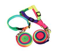 Toddmomy 2pièces Laisse Colorée pour Chien Nylon Pratique Traction Et Confort pour Chiots Accessoires De Plein Air