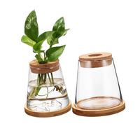 Toddmomy 2pièces Propagation Station pour Plantes Terrarium Intérieur Verre Pots De Fleurs sans Terre Design Compact pour Appartement