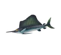 Toddmomy 3 pièces Décor Marin Simulé Ensemble Animaux Marins Miniatures Plastique Solide Ornements Réalistes de Poisson Lanterne Muraenesox et Poisson Buffle Dunkleosteus pour Décoration