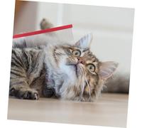 Toddmomy 3 pièces Peigne Inox pour Animaux Démêlant Doux à Dents Ergonomique et Soin pour Chiens et de Toutes Toilettage Confortable et