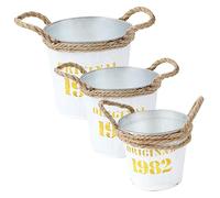 Toddmomy 3 Pièces Seau à Fleurs Portable Fer Jardinière Rétro Vase à Fleurs Contenant pour Compositions Fraîches Séchées Vintage