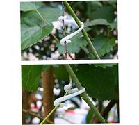 Toddmomy 300Pièces Clips De Fixation pour Vignes Et Boucles Pratiques pour Support De Plantes Accessoires De Jardinage Idéaux pour Cultures Raisins