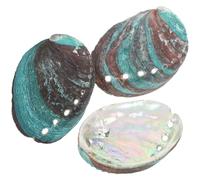 Toddmomy 3Pcs Coquille D'Ormeau Naturelle 8-10Cm, Bol D'Offrande pour Sauge Blanche, DéCoration IntéRieure, Multi