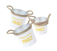 Toddmomy 3pièces Seau à Fleurs Portable Fer Jardinière Rétro Contenant pour Compositions Pot à Fleurs Séchées Vase Décoratif Vintage