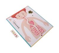 Toddmomy 4 Ensembles Digestive System Model Kit for DIY Educational Science Toy for Parent-Child Learning and Interactive Craft Supplies