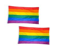 Toddmomy 6pièces Drapeaux Rainbow Polyester Bannières De Fierté Lgbt Pour Festivals Et Célébrations