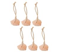 Toddmomy 6pièces Lot de Blocs De Sel Rose à Lécher pour Animaux Élevage Chevaux Et Bovins Source Naturelle Jouet Anti-Ennui