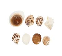 Toddmomy 8pièces Décoration De Naturel pour Aquarium Décorations pour Poissons Et Crustacés