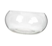 Toddmomy Bocal Poisson Rond Transparent pour Décoration Bureau Maison Hydroponique Plantes