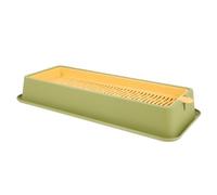 Toddmomy Cat Grass Hydroponic Plant Holder Practical Soilless Planter for Cats Convenient Catnip Nursery Box