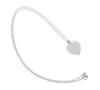 Toddmomy Collier Urne Cœur Acier Inoxydable Pendentif Commémoratif avec Compartiment Sécurisé pour Cendres de Chien Chat ou Humain Souvenir Animaux Intime