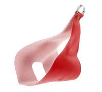 Toddmomy De Transport pour Volailles De Pesée pour Poules Et Canards Facile à Nettoyer Et Portable pour Animaux De Compagnie
