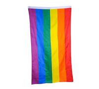 Toddmomy Drapeau Arc-ciel Polyester avec Œillets Laiton Grand Drapeau Lgbt Pride pour Décoration Intérieure et Extérieure