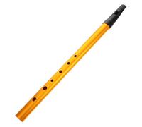 Toddmomy flûte à bec débutant flute irlandaise flûte quena kazoo pour les enfants sifflets irlandais sifflet de cristal clé de sifflet d'étain d piccolo cuivres alliage d'aluminium Golden