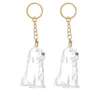 Toddmomy Lot de 2 Porte-clés Souvenir en Poils d'animaux : étui de Rangement commémoratif pour Poils d'animaux, Porte-clés Souvenir pour Chiens et Chiots, pour de Compagnie