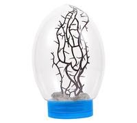 Toddmomy Mini Aquarium Écosystème Fermé avec Base Lumineuse LED sans Batterie