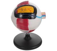 Toddmomy Modèle Anatomique Modèles D'anatomie des Yeux Modèle De Globes Oculaires Modèle D'anatomie du Globe Oculaire Figurine Oeil Éducative Anatomie Figurine Anatomie Humaine Plastique