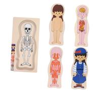 Toddmomy Puzzle en Bois Corps Humain pour Garçon et Filles Jouet Éducatif Outil Cognitif Modèle Anatomique 1 Pièce Apprentissage Pratique Activités Ludiques