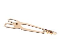 Toddmomy Stem Singe Bois avec Levier Kit Dexpérimentation Scientifique DIY pour Garçon Fille Apprentissage Ludique des Principes Mécaniques Bois Naturel Safe