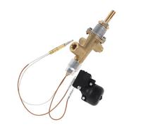 Toddmomy Thermocouple Et Interrupteur De Sécurité Anti-basculement pour Chauffage Gaz Extérieur Parasol, Accessoire Réparation Solide