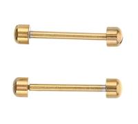 Toddmomy Tige de vis de 14 mm pour Bracelet de Montre, Lot de 2, Acier Inoxydable, Structure à tête Plate rainurée, réparation de Montre, pour maillons de Bracelet en céramique