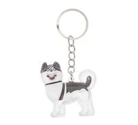 Toddmomy Transparent Dog Hair Keepsake Box Keychain for Pet Hair Storage and Collection Stylish Portable Memorial Pendant for Dog and Cat Lovers