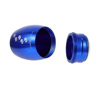 Toddmomy Urne Funéraire Acier Inoxydable pour Animaux de Compagnie Urne de Crémation avec Motif Patte de Chien Bleu Boîte de Conservation des Cendres pour Souvenir