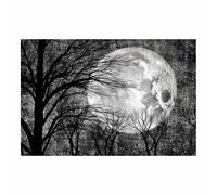 TODOAA affiches murales en noir et blanc pour de salon Arbre naturel la nuit décoration murale pour chambre à coucher, bureau, images minimalistes(Noir)-20x30cm Sans cadre