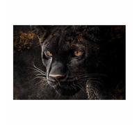 TODOAA Bain Tableau décoratif animal Affiches de léopards naturels Impression sur toile Décoration murale - d'œuvres d'art pour Le Bureau à Domicile Moderne(Noir)-50x70cm Sans cadre