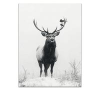 TODOAA Impression sur Toile intissee Abstrait Élan dans la forêt Hiver noire et blanche Decoration murale - Tableaux Décoration Moderne, Salon Tableau Mural-50x70cm Sans cadre