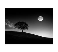TODOAA Moderne Abstrait Impression sur Toile Tableau Affiche Simple Tree Mountain Sunset Adolescent Salon décoration pour chambre à coucher bureau, images minimalistes-50x70cm Sans cadre