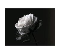 TODOAA noire et blanche Abstrait Affiche sur Toile Fleurs modernes et belles images murale pour chambre à coucher, bureau Salle À Manger BarImpression tableau-80x120cm Sans cadre