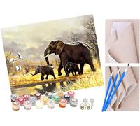 ToeTs Peinture par Numéro Adultes éléphant mignon avec Pinceaux et Acryliques Bricolage Peintures Kits pour Enfants Seniors Débutant, pour la Décoration Intérieure Maison