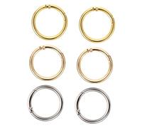 Tofficu 6 pièces Anneaux Porte Clés Alliage Résistants à Haute Température Lot de Rond à Ressort DIY pour Clés USB Bouteille Organisateur Durable pour Cadeau Souvenir Graduation