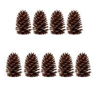 Tofficu 9 Pièces Lot de Pommes de Pin Naturelles Grandes pour Décoration DIY Séchées et Réutilisables Accessoires Rustiques pour Fêtes Mariages et Ambiances Naturelles