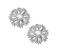Tofficu Boucles de Chaussures Élégantes pour Fille en Alliage Perles Imitation et Cristaux, Décor Pratique et Facile à Enlever pour Fêtes et Photos de Rue