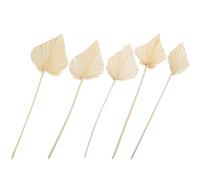 Tofficu Décoration Murale 5 Pièces Feuilles de Palmier Séchées Blanches D'éventail, Ornements Naturels pour Mariage, Composition Bohème, Accessoires Décoratifs Intérieurs et Extérieurs