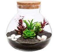 Tofficu Micro Paysage En Verre Transparent Avec Bouchon Bouteilles En Verre De Faveur De Mariage Station De Propagation De Leau Vide Liège Plante