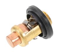 Tofficu Thermostat de Remplacement pour Moteur hors Bord Marin Stable Température Compatible Prolonge la Durée de Vie Du Moteur