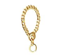 TOGEVAL 1 Pc Collier pour Animaux de Compagnie Animal de Compagnie Collier élégant pour Animaux de Compagnie Collier de Cou Collier de Dressage pour Chien Golden