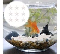 TOGEVAL 12 pièces Ornements Résine Étoile de Mer Décor Méditerranéen pour Aquarium et Chambre Denfants Décoration Réaliste Forme Détoile de Mer Blanche Accessoires Sécurisés pour Bassin