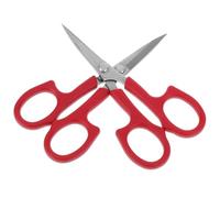 TOGEVAL 2 pièces Ciseaux Sourcils et Barbe Acier Inoxydable Ciseaux de Précision pour Coupe Visage Design Ergonomique Rouge Trimming Pratique pour Salon et Usage Personnel