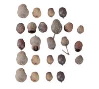 TOGEVAL 24 Pièces Fruits Secs Décoratifs Naturelles pour Couronne de Noël et Décoration Cadre Photo, Taille Aléatoire, Accessoires Rustiques pour Décoration Sapin et Maison Hiver