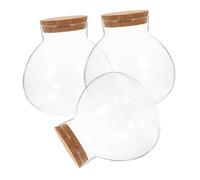TOGEVAL 3 pièces Micro Landscape Ecological Bottles with Cork Stopper Transparent Glass Globe Jars for Moss Plants Compact and Home Supplies Display