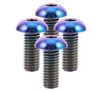 TOGEVAL 4 Vis De Rechange M5 pour Porte-Bidon De Vélo Vis De Fixation De Bidon Intérieure M5