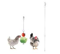 TOGEVAL Fourchette à Fruits Acier Inoxydable pour Perroquets Suspendu pour Petits Oiseaux Ustensile Cuisine Sécurisé et Amusant pour Perroquets et Perruches