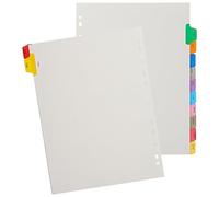 TOGEVAL Intercalaires pour Classeur A4 Plastique Couleur, 12 Onglets Index Mois en Anglais, Séparateurs de Cahier avec Onglets pour Organisation Bureau et Classement Documents